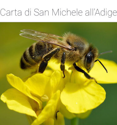 Carta di San Michele all'Adige